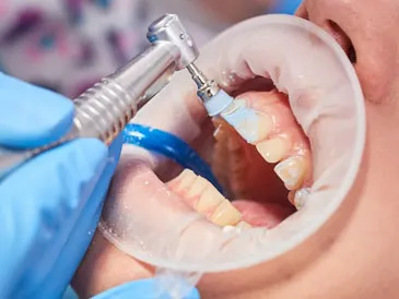 Description for gallery image 7