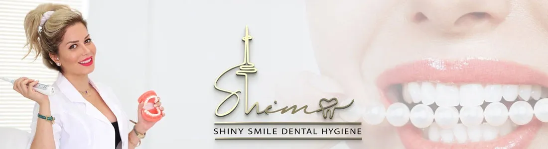 Shiny Smile Clinic Banner